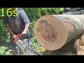 Stihl MS 461 vs. Solo 681 vs. Stihl 051 (same chain)