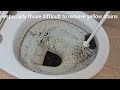 Throw coffee powder in the toilet and you won't believe the results