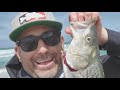 Catching Striped Bass On The Central Coast. Never Give Up. Just Keep Casting!