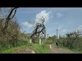 HURRICANE BERYL AFTERMATH NORTHERN GRENADA 2024