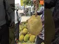 ভাল কাঁঠাল কিভাবে চিনবেন ? বাজারে গেলে আর ঠকাতে পারবে না কেউ (How to know a good jackfruit)