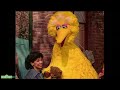 Sesame Street Gets Through a Storm | Sesame Street Full Episode