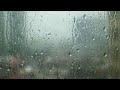 Light Thunderstorm and Rain || Sleep, Relax, and empty your mind