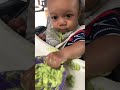 The doc said “let him get messy” #avocado #babyfood #6months