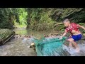 Fish trap, orphan boy Min catching stream fish, stream fish catching skills