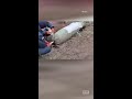 Ukraine Responders Disarm Bomb by Hand With Bottled Water #Shorts