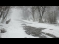 💨 Winter Storm Ambience with Howling Blizzard and Drifting Snow on an Abandoned Road in Norway.
