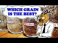 The Ultimate Grain Experiment for Mycology