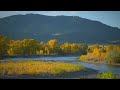 Calming Sounds of Water Flowing Past Fall Foliage in Montana - Soothing Relaxation Ambience