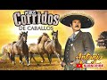 Lo Mejor de Lo Mejor de Antonio Aguilar - Antonio Aguilar Puros Corridos de Caballos Mix Exitos 2024