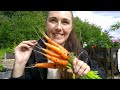 FIRST WEEK OF JUNE ON THE PLOT AND THE START OF THE HARVEST!/ALLOTMENT VLOG.