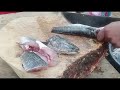 DUMAYO NANAMAN KAME SA LUGAR BAGONG TROPA,/ELECTRIC FISHING/HUNTING ALIMOKON/JOCKPOT PARI