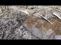 Tearing Out Mother Beaver Dam #1 By Hand! Part 2 of 3!