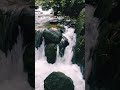 waterfalls 🤍💚 വെള്ളച്ചാട്ടം കാണാ൯ വായോ🥰#viral#kerala #waterfall #wayanad #travel #nature