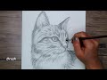 How to Draw a Realistic Cat Step by Step | Cat Head Sketch for Beginners