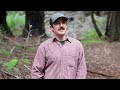CAL FIRE Forest Health Grants at Work: San Mateo Resource Conservation District