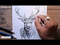 Pencil Drawing - Deer Draw Easy Step || Animal Drawing Tutorial