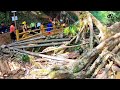 { शिलांग मेघालय } SHILLONG TOUR GUIDE | Shillong Tourist Places |Shillong Tour Plan | Meghalaya Trip