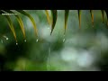 Relaxing Sleep Music with Rain Sounds - Meditation Music, Stress Relief,