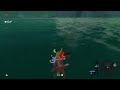 a mildly interesting botw clip