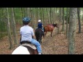 The Robin and The Whitetail  Log Cabins in Pipestem, WV