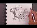 How To Draw a Leopard | Sketch Tutorial