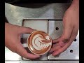 Latte art | soothing Swan