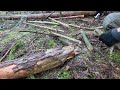 Building a secret bunker in the forest | Bushcraft skills