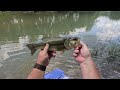 Whopper Plopper Topwater Action on the Buffalo River