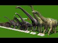 Dinosaur Size Comparison 3D - Smallest to Biggest