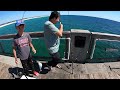 Dropping a GoPro Under a Popular Fishing Pier (Wild)