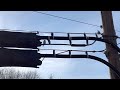 House Sparrows on a Telephone Wire (Full Video)