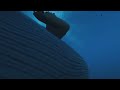 Virtual Reality - 360° Blue Whale Experience | Oculus Quest 2