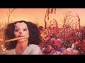 björk: utopia