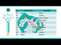 101 Kata Kerja dalam Bahasa Inggris yang Sering digunakan dalam Kehidupan sehari hari #1