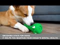 TOP 5 Best Interactive Dog Toy 2023