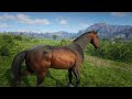 15 BEAUTIFUL *DELETED* HORSES | Red Dead Redemption 2