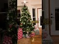 Vlogmas 2023🎄1 days until Christmas!