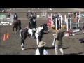 Maxance McManamy & Project Runway 1st place Galway Downs 1 star Horse Trials Nov 2010