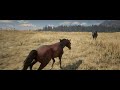 Horses - Red Dead Redemption 2 - Arabian horse herd