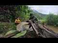 The boy and his brother survival, setting traps to catch large stream fish