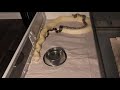 Episode 166 Boa breeding update 11/19/20