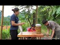 Mining and transporting sand for road construction. BINH sells crocodile juice to help his parents.