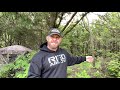 Best Ground Blind Hunting Tips for Bowhunting | How to Set Up Ground Blinds for Deer Hunting