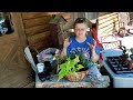 planting out hanging baskets