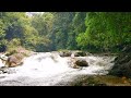 Mind relaxation @ deep forest| white noise of water falls for relaxation and to overcome insomnia