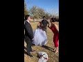 Bridesmaid gets caught cheating with groom!😱 #Shorts