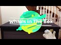 What’s in the Box!? Surprise Box Game – Let’s Guess and See (Excite Dog Video)