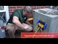 Professional Heat Pump Maintenance