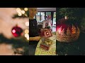 20+ MINUTES OF CHRISTMAS TIKTOK’s | CHRISTMAS COUNTDOWN | 17 days! | No. 109